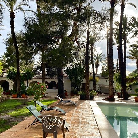 Pink Lemon House Bed and Breakfast Elche Exteriör bild
