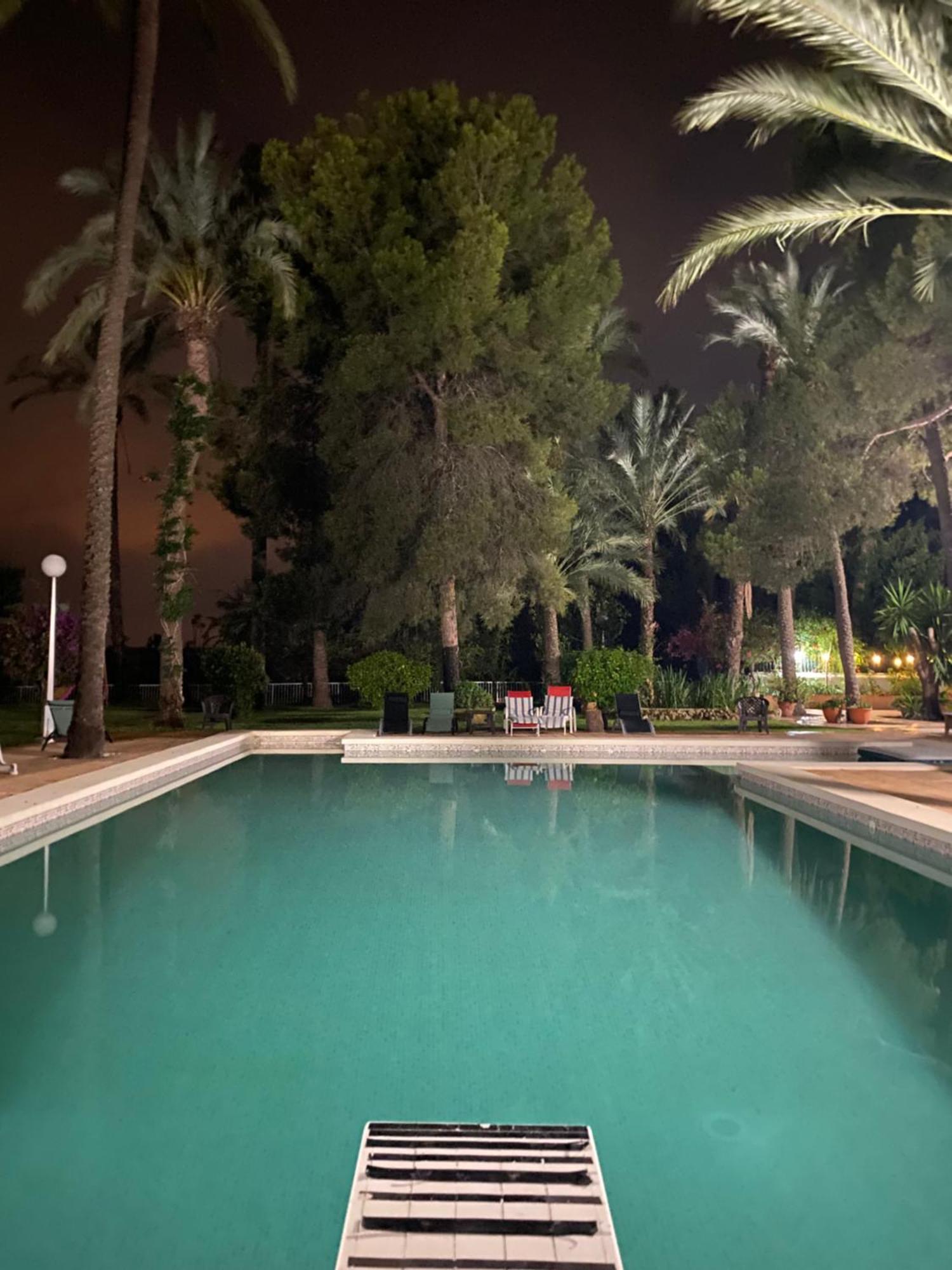 Pink Lemon House Bed and Breakfast Elche Exteriör bild