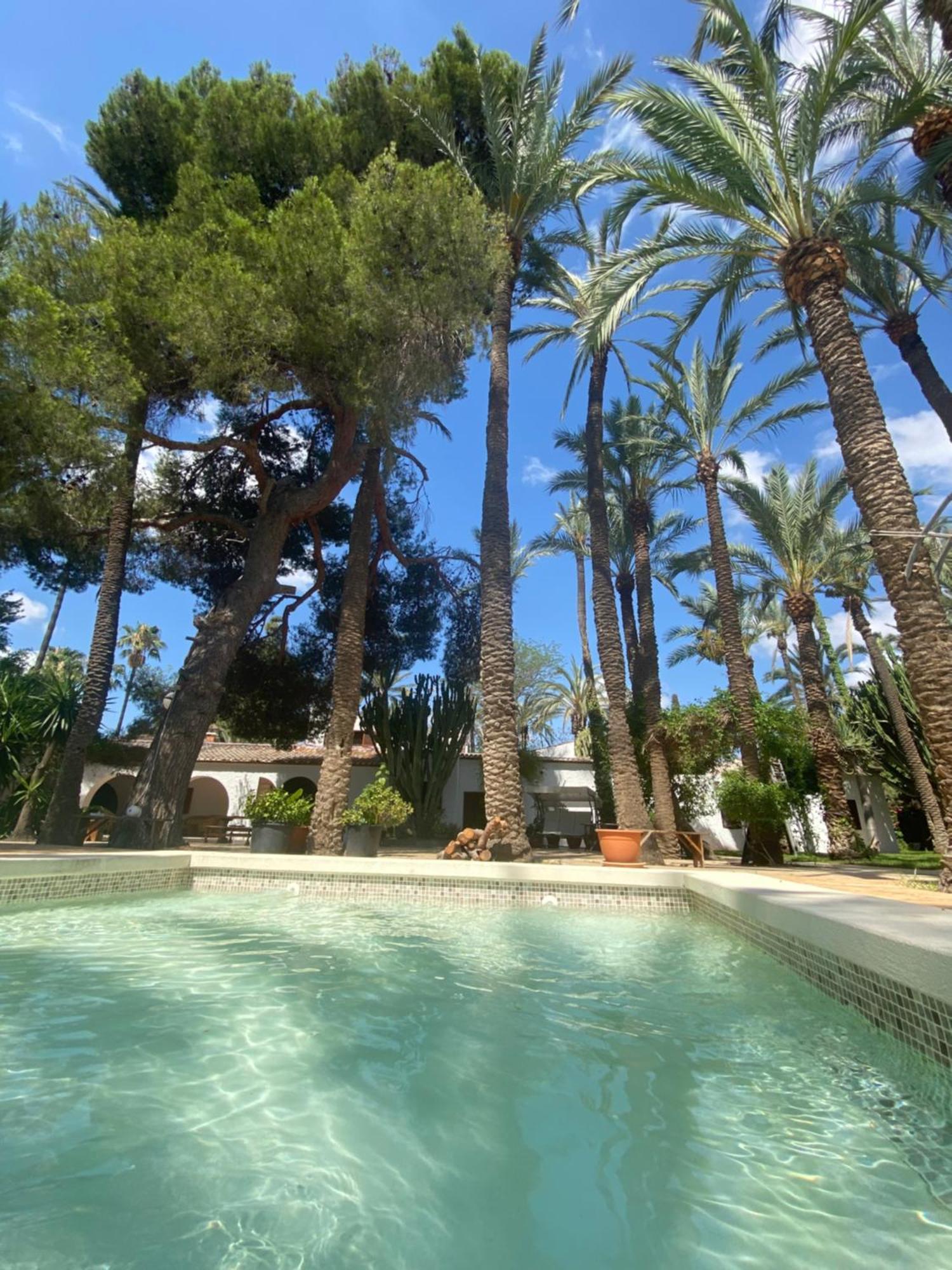 Pink Lemon House Bed and Breakfast Elche Exteriör bild
