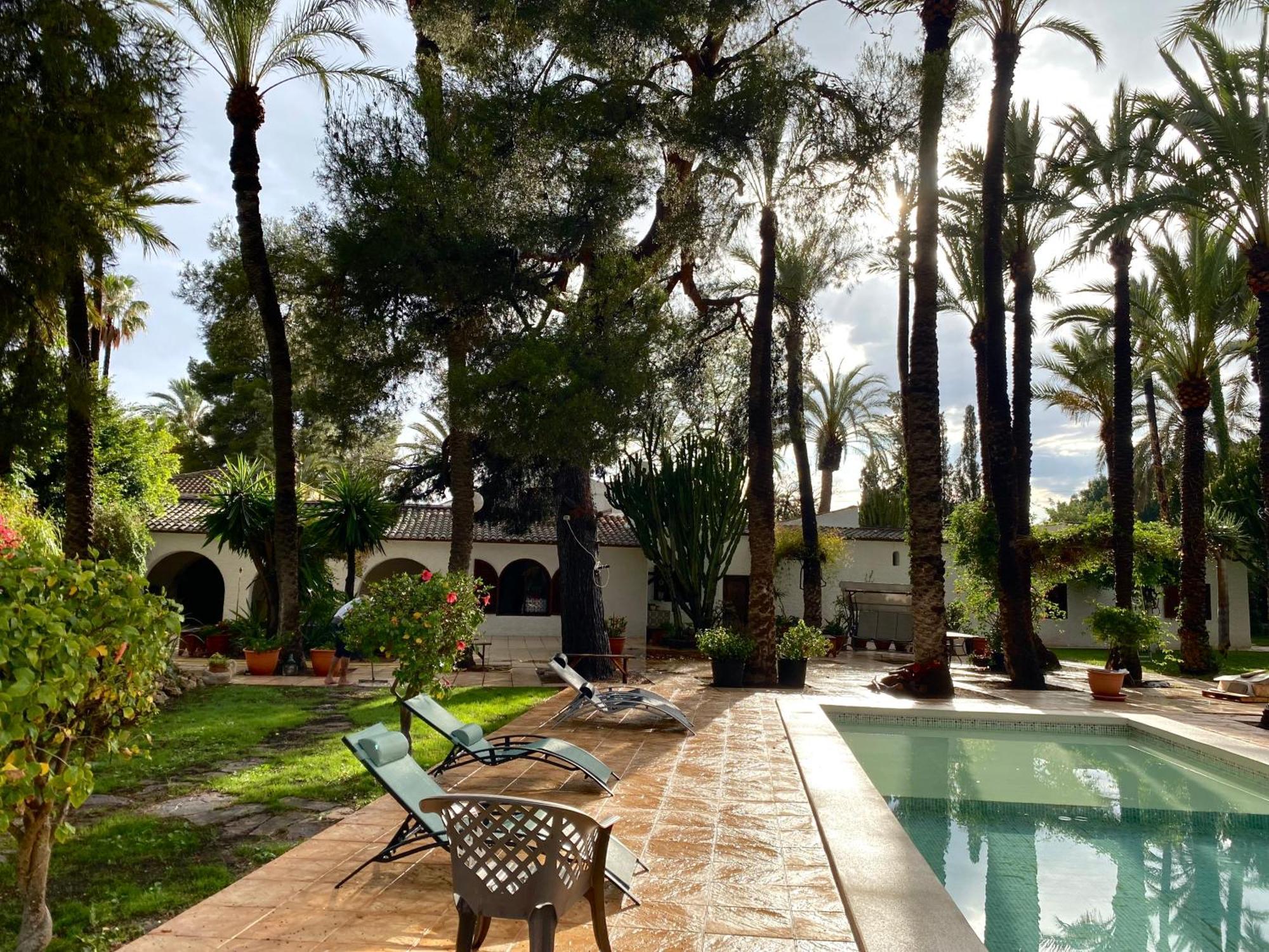Pink Lemon House Bed and Breakfast Elche Exteriör bild