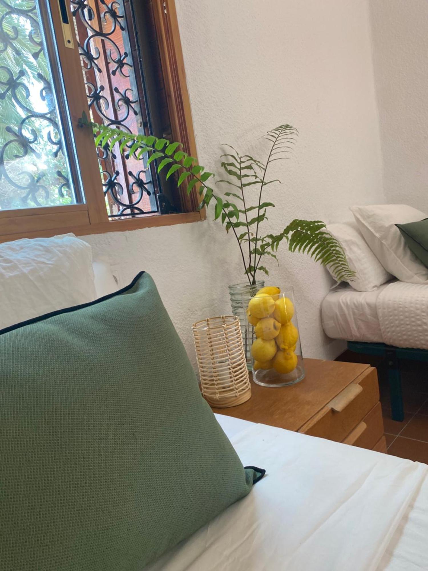 Pink Lemon House Bed and Breakfast Elche Exteriör bild