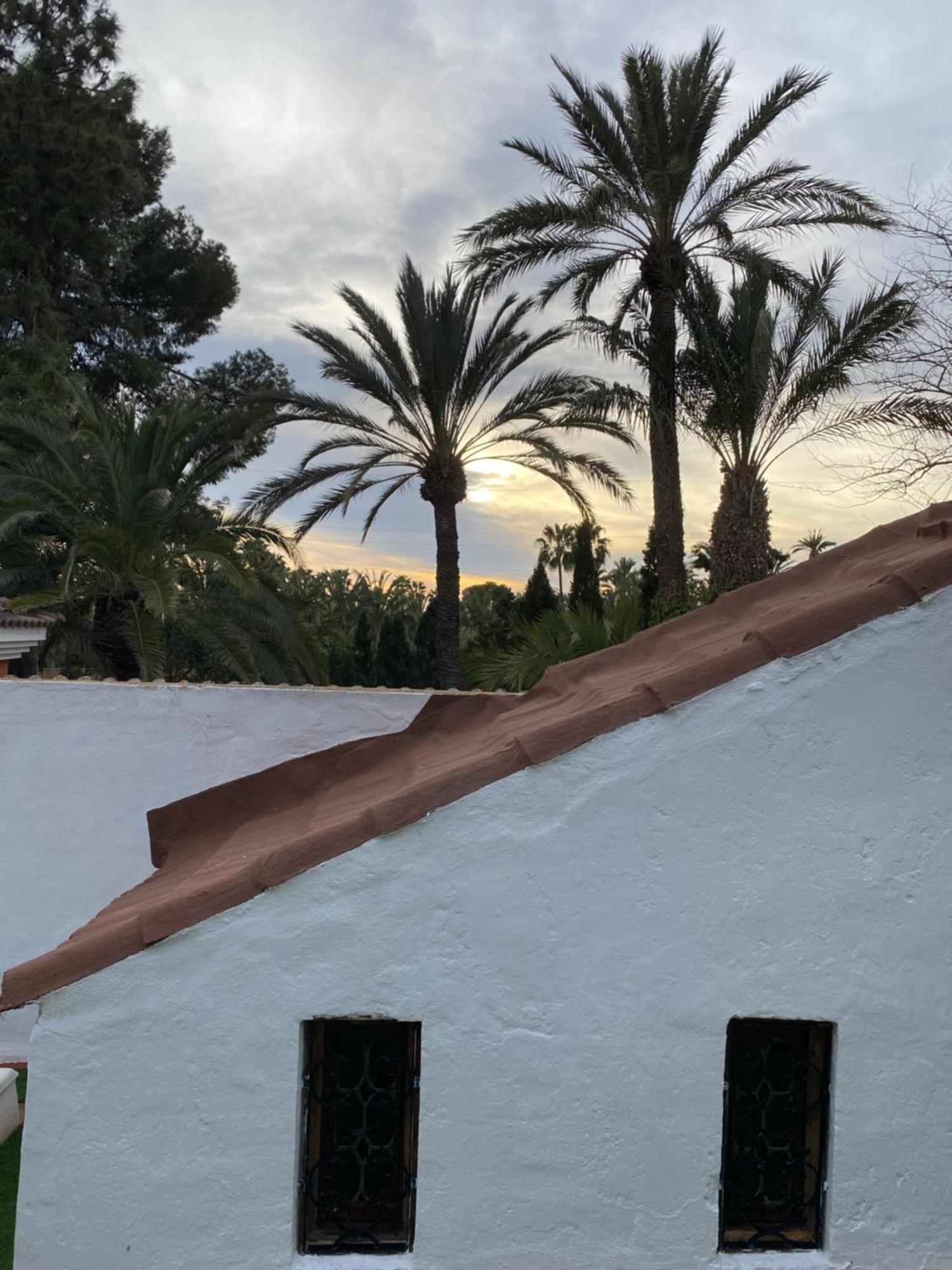 Pink Lemon House Bed and Breakfast Elche Exteriör bild