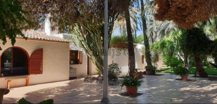 Pink Lemon House Bed and Breakfast Elche Exteriör bild
