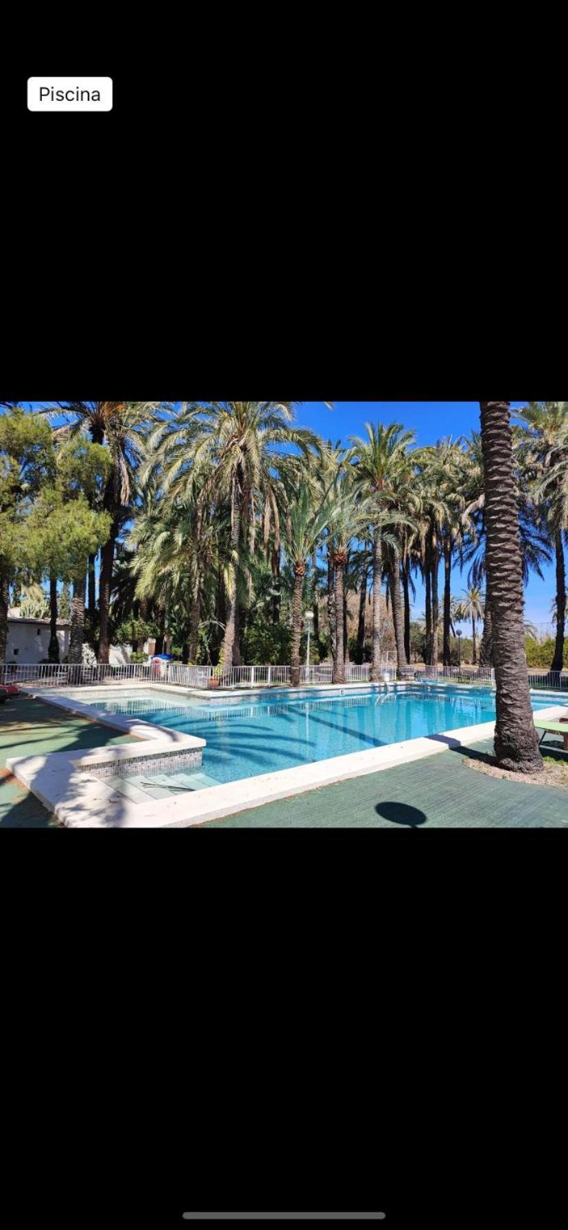 Pink Lemon House Bed and Breakfast Elche Exteriör bild