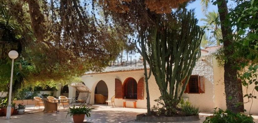 Pink Lemon House Bed and Breakfast Elche Exteriör bild
