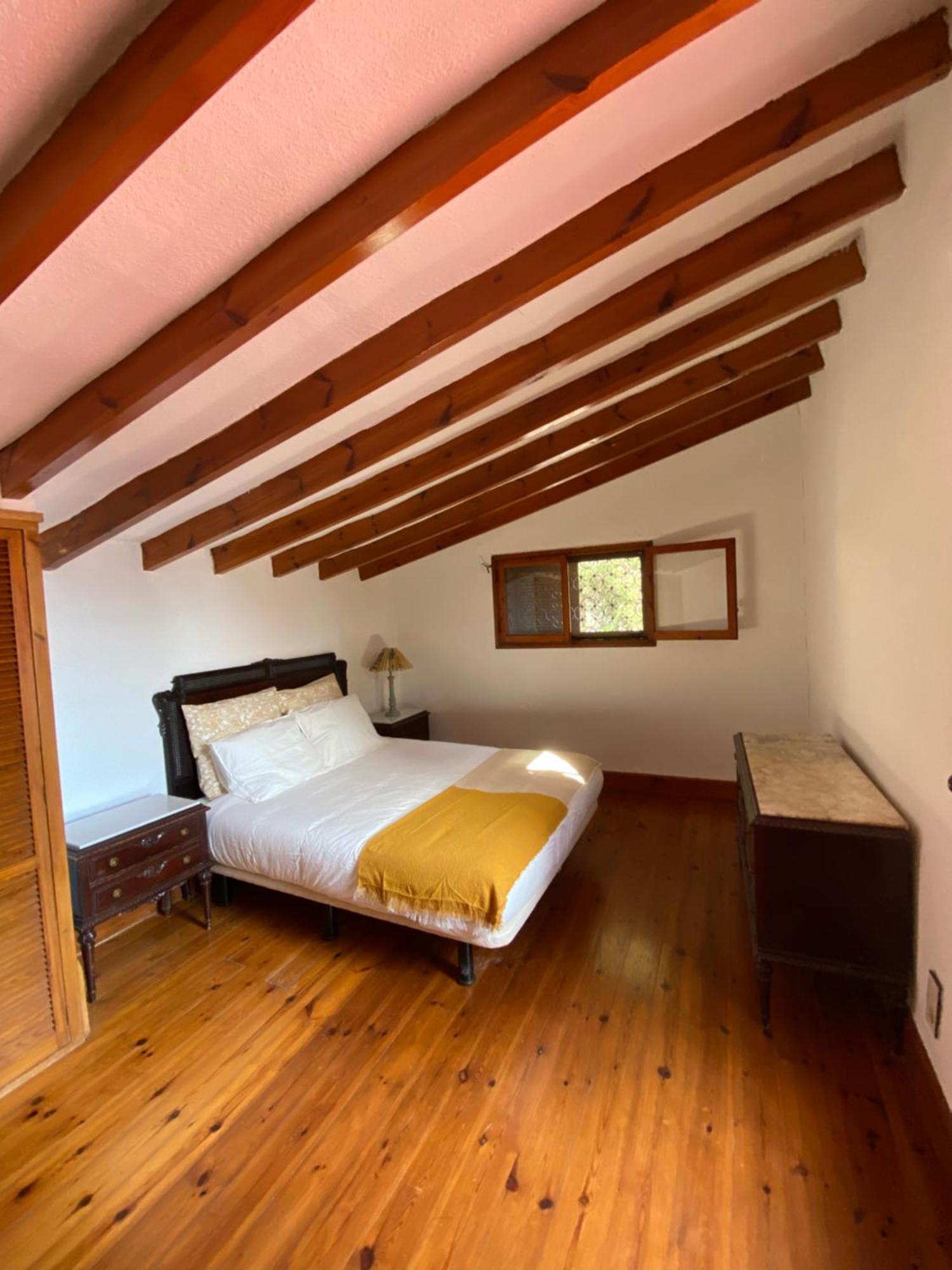 Pink Lemon House Bed and Breakfast Elche Exteriör bild